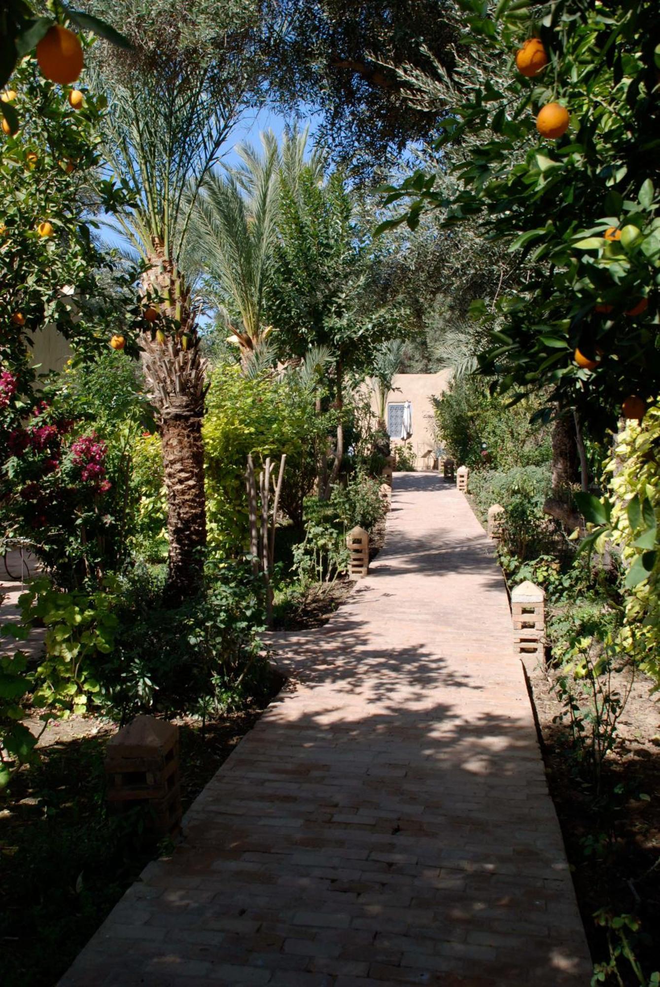 Hotel Dar Zitoune Taroudant Esterno foto
