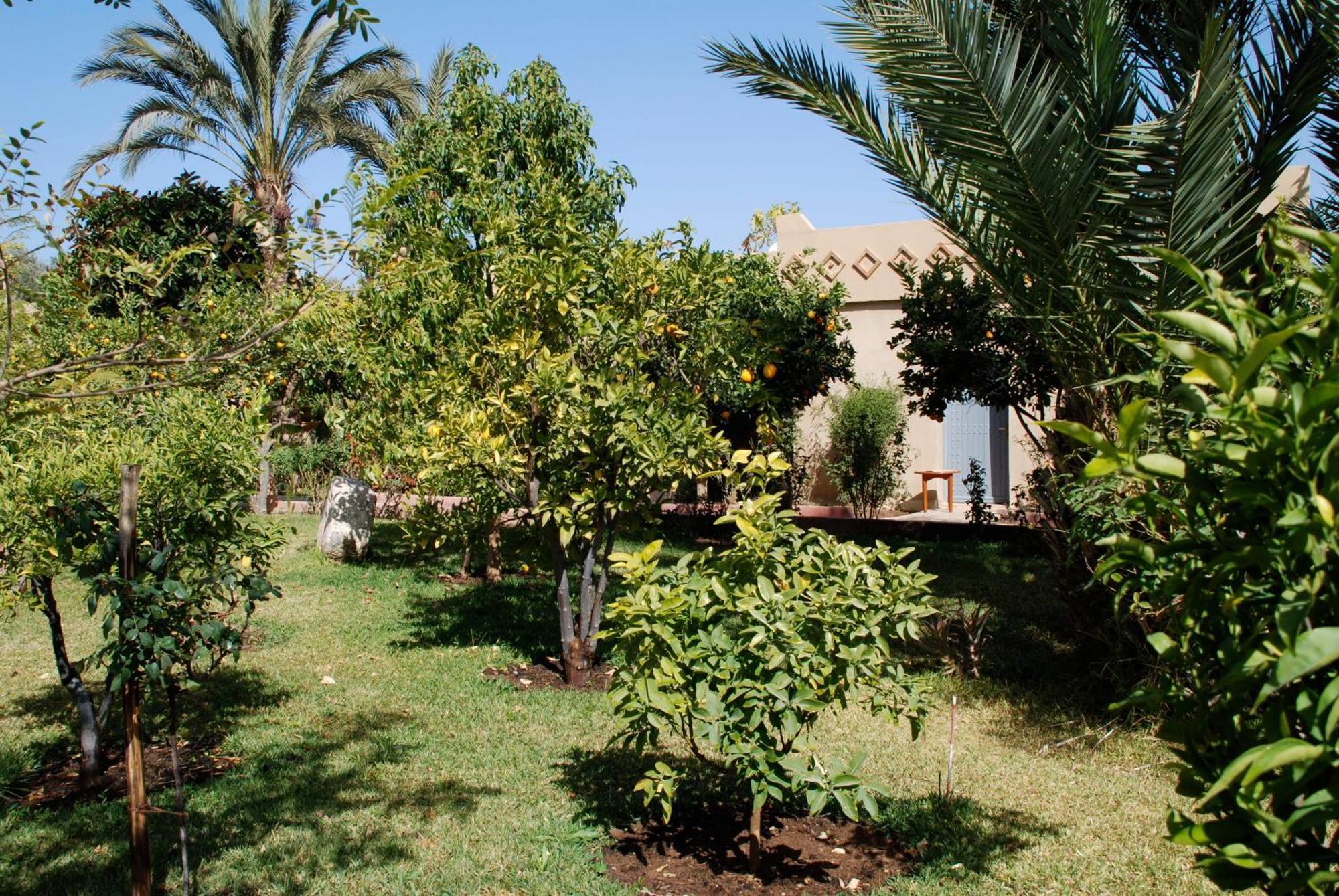 Hotel Dar Zitoune Taroudant Esterno foto