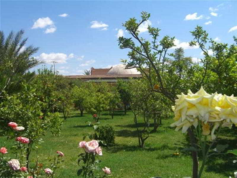 Hotel Dar Zitoune Taroudant Esterno foto